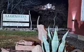 La Genoveva Posada entre Viñedos
